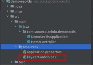sunteco-cloud-bao-mat-api-service-chay-tren-container-voi-ssl-tsl-5